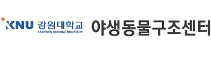 강원