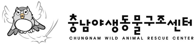 충남
